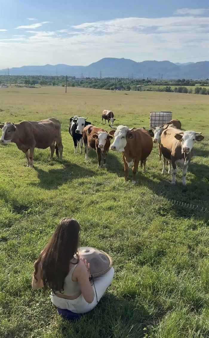 Xenia cântând în natură, printre animale